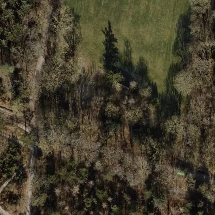 Verlaten Woning 1945